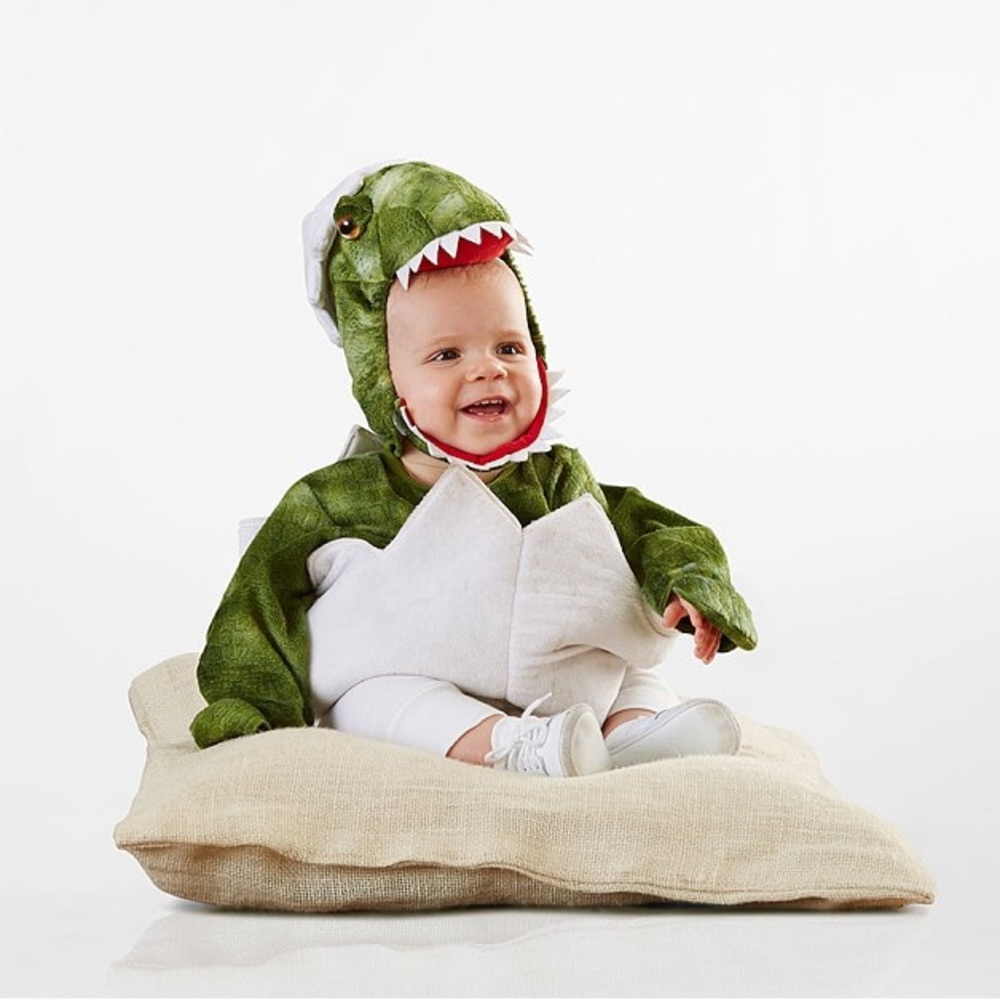 NWT Pottery Barn Kids Baby Egg Dinosaur Egg Costume 12-24 mo